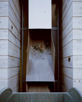 Giuseppe Marano